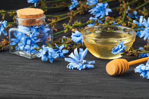 تصویر 1 از بهترین عرق کاسنی عمده + شرایط استثنایی